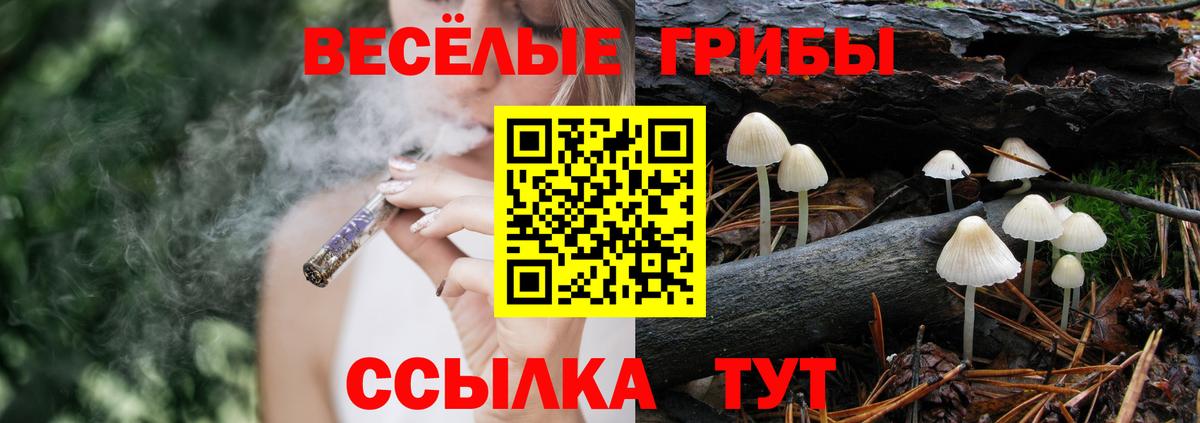 Галлюциногенные грибы Psilocybine cubensis Люберцы